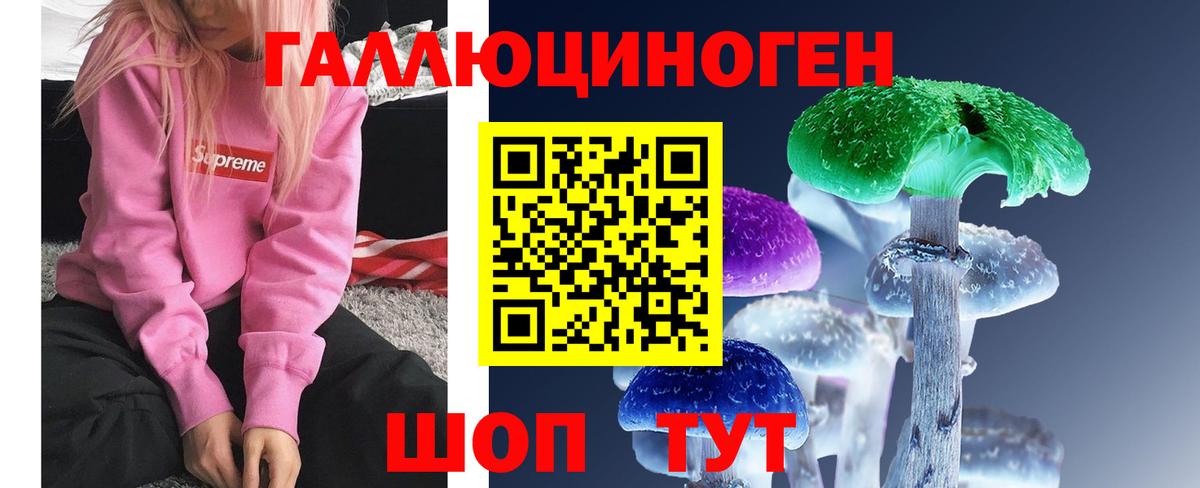 Псилоцибиновые грибы GOLDEN TEACHER  Вход с VPN  Орск 